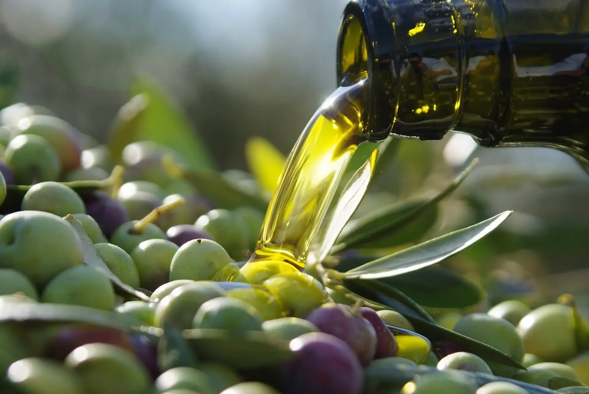 L'élixir doré de la Costa Blanca : l'huile d'olive !