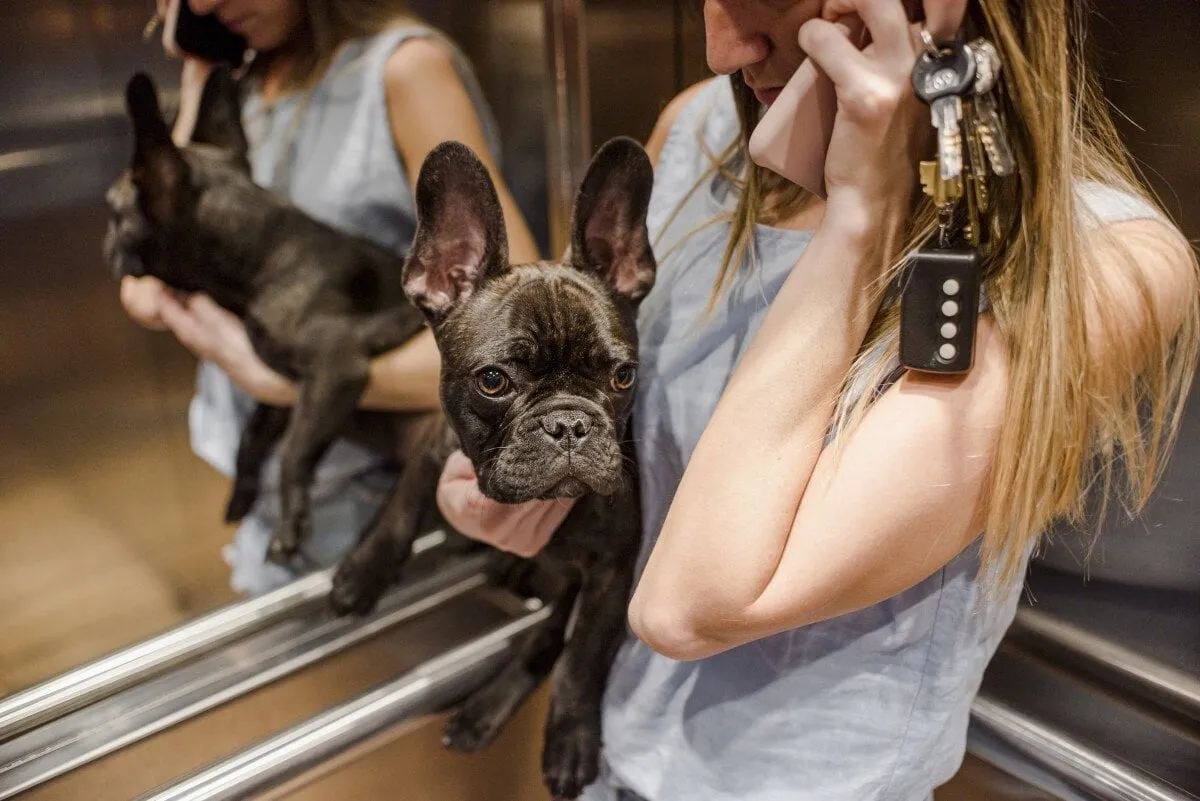 chica-primer-plano-lindo-perrito